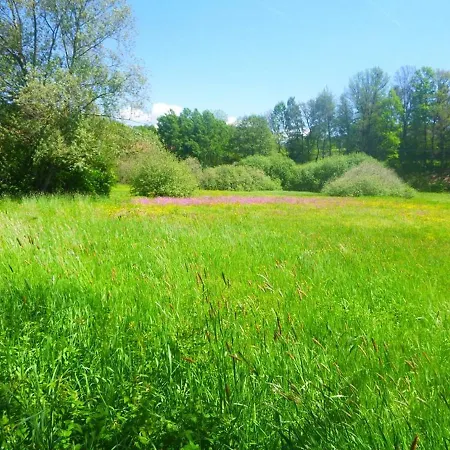 Landhaus Froschauer Hof Ascha